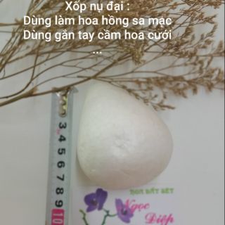 Xốp nụ đại