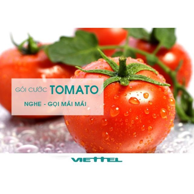 Sim nghe gọi mãi mãi Tomato Viettel – Gói cước Tomato ( FEESHIP 150K )