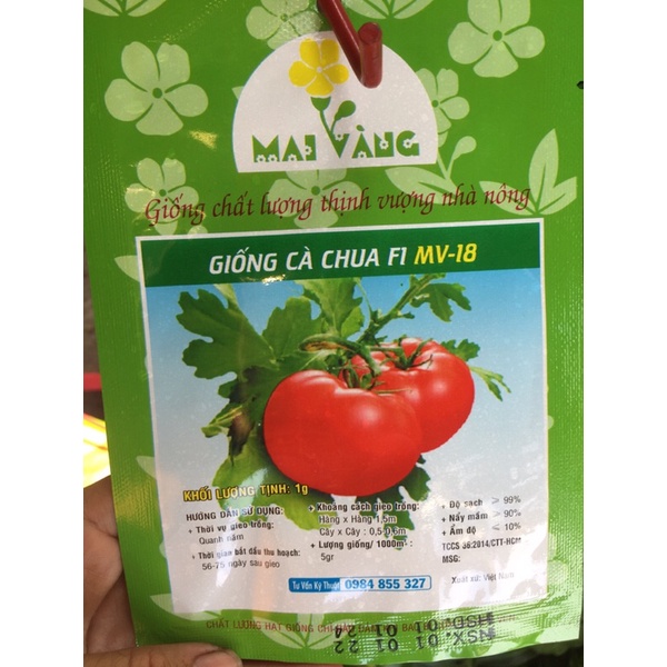 Hạt giống cà chua