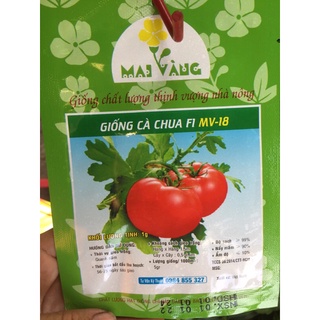 Hạt giống cà chua