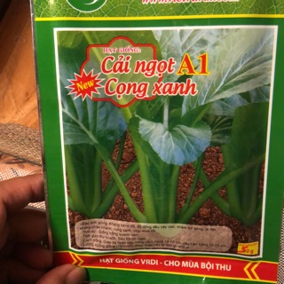 Hạt giống cải ngọt cọng xanh 🌱