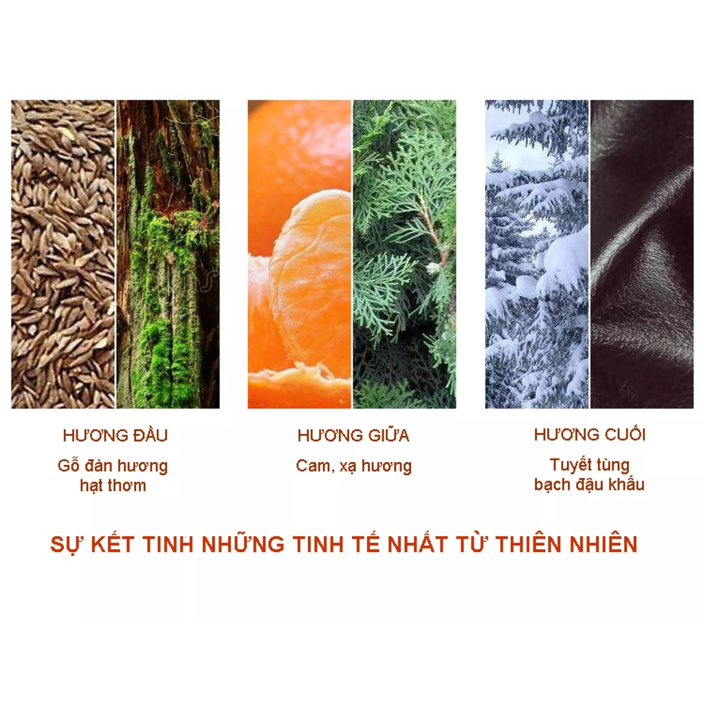 Nước Hoa Nam Chính Hãng Thơm Lâu Jeanmiss Với Mùi Hương Gỗ Nam Tính, Mạnh Mẽ, Đậm Chất Bụi, Thể Hiện Bản Lĩnh Phái Mạnh