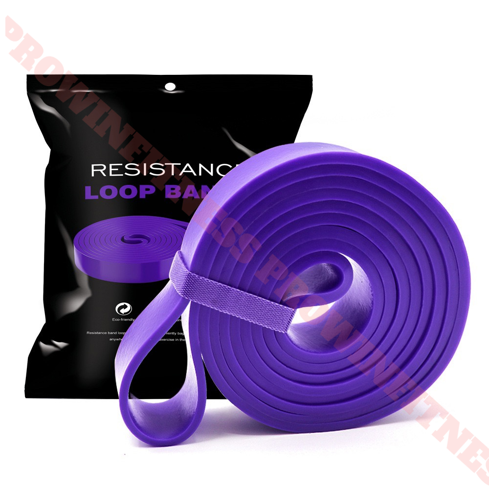 Dây kháng lực Power band Prowin Fitness tập gym, tập tay, chân, toàn thân, đàn hồi trợ lực kéo xà yoga
