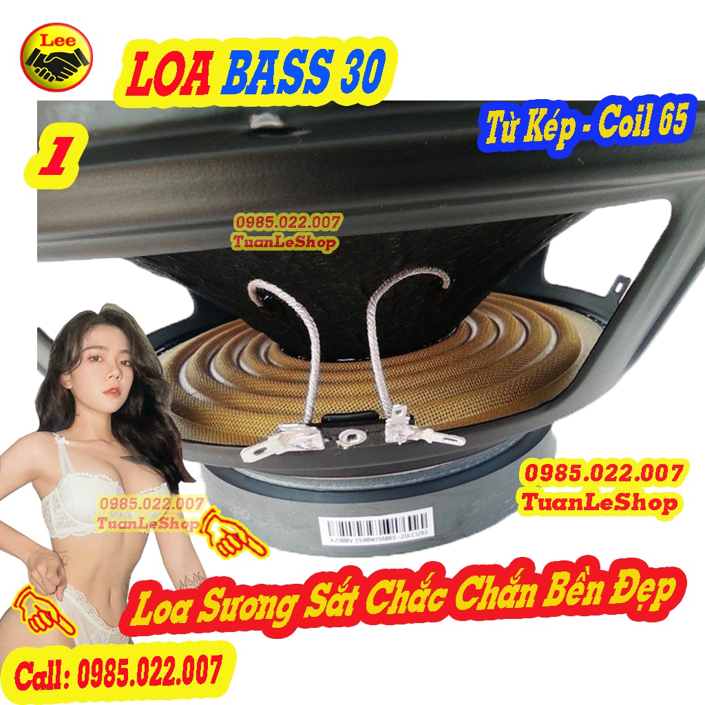 02 LOA BASS 30 GÂN MÚT COIL 65.5 TỪ KÉP KIỂU BMB – GIÁ 02 LOA BASS 3 TẤC TU KEP
