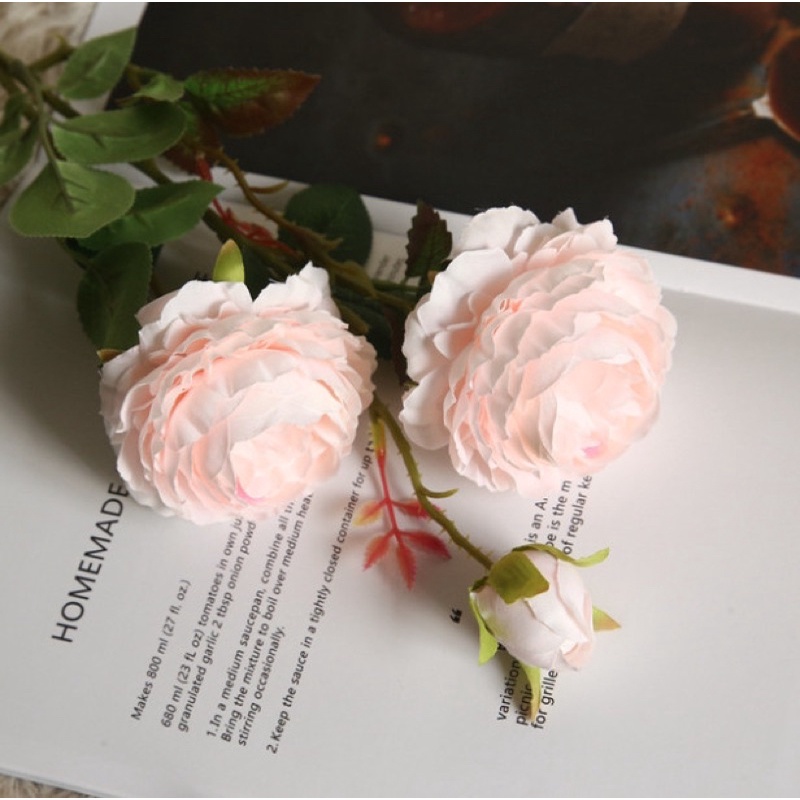 Hoa hồng mẫu đơn cao cấp trang trí nhà cửa mang hơi hướng phương tây