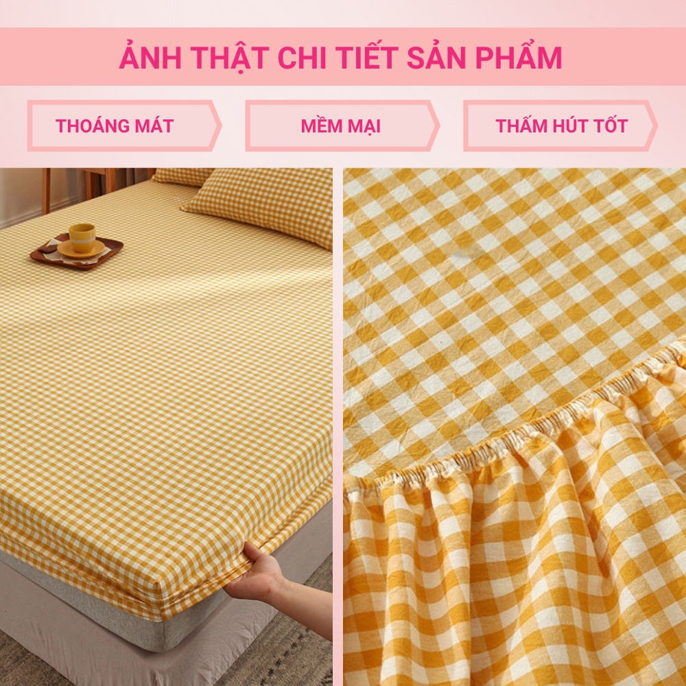 Ga Gối Cotton Tici Kẻ Mẫu Mới Nhất    -  Nhập Khẩu Không bai xù, Không phai màu