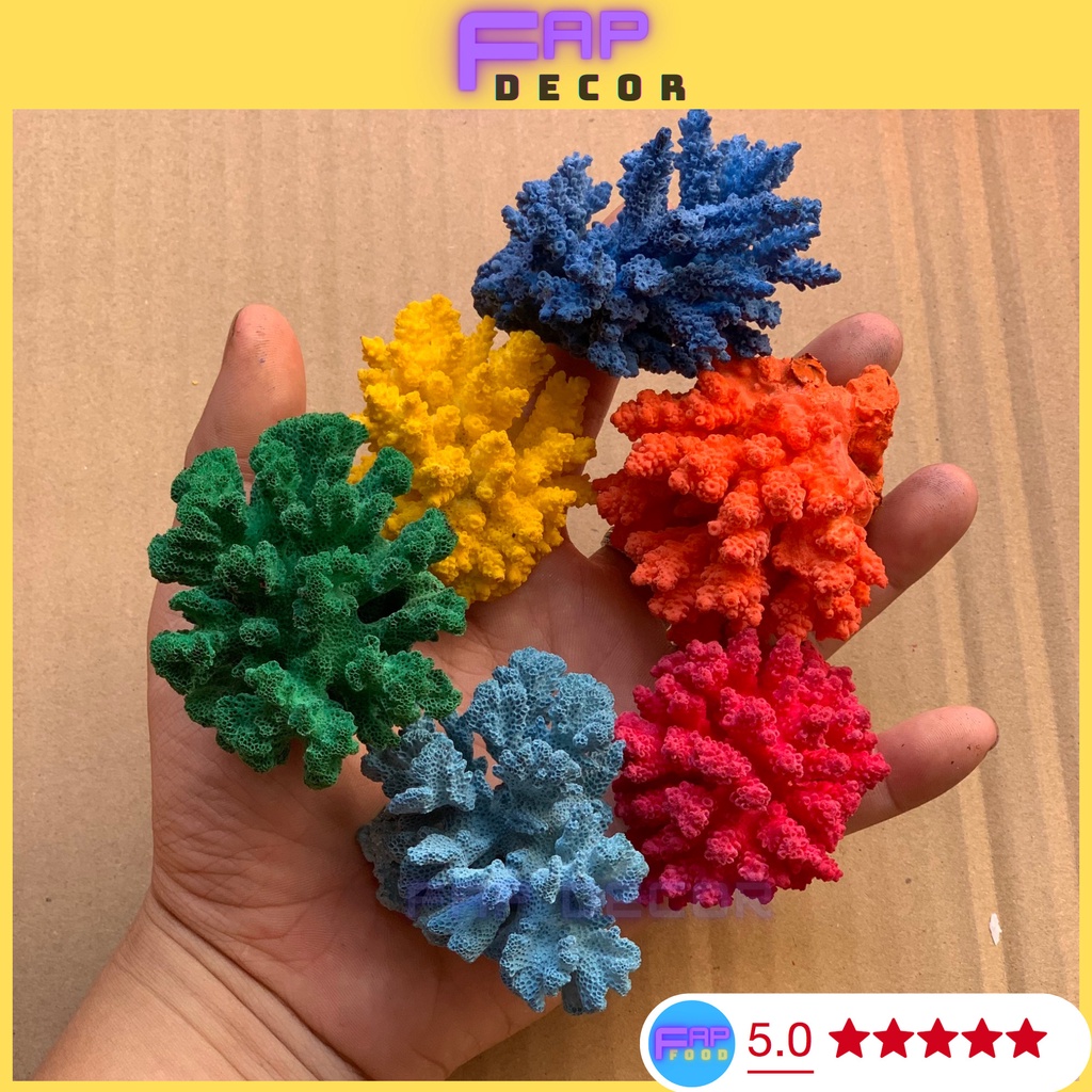 BÔNG RẠN SAN HÔ MINI PHONG THỦY PHỐI MÀU DECOR NHÀ CỬA, SAN HÔ NHIỀU MÀU TRANG TRÍ THỦY SINH