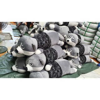 Chó Husky Siêu Ngầu
