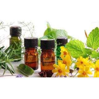 [Free ship 50k] Lọ 10ml Tinh Dầu Thiên Nhiên Nguyên Chất Nhiều Mùi Thơm Phòng Giúp Bạn Thư Giãn Sảng Khoái Mỗi Ngày