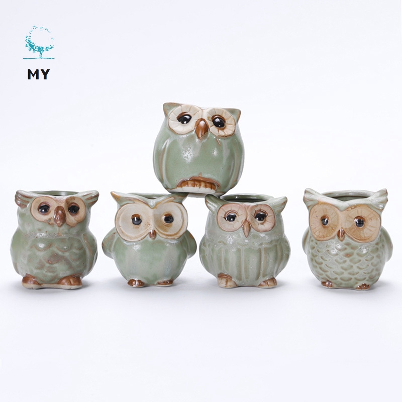 Bộ 5 chậu trồng hoa bằng gốm hình chim cú mèo dễ thương