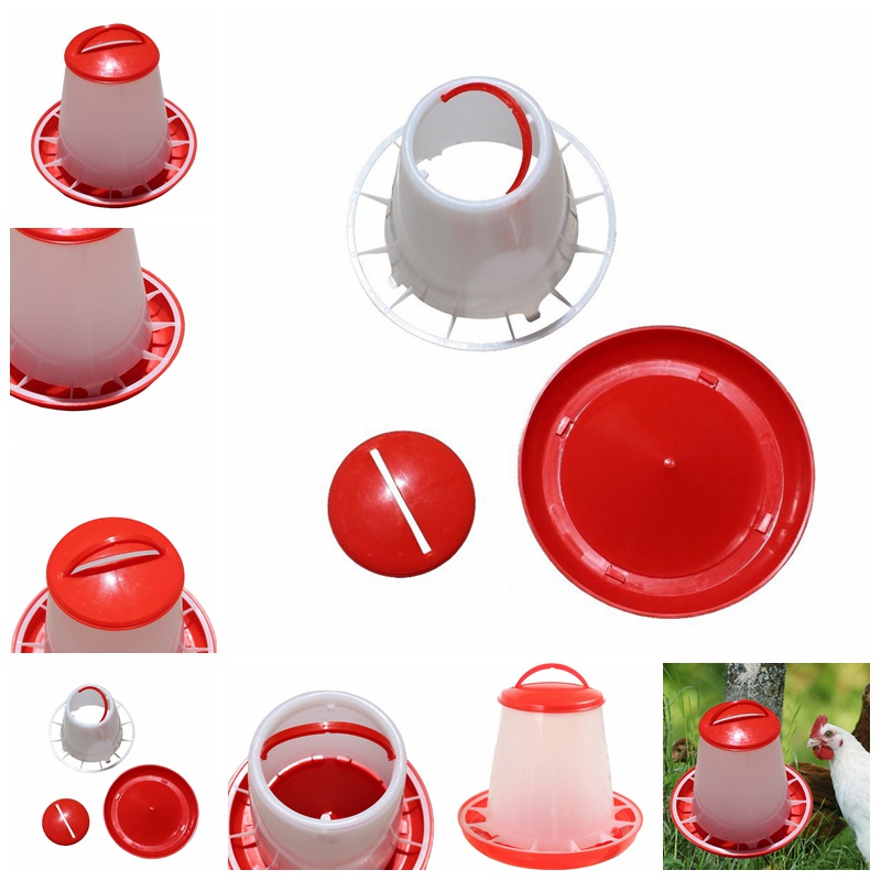 ### Hộp Nhựa Đựng Thức Ăn Gà Tiện Dụng