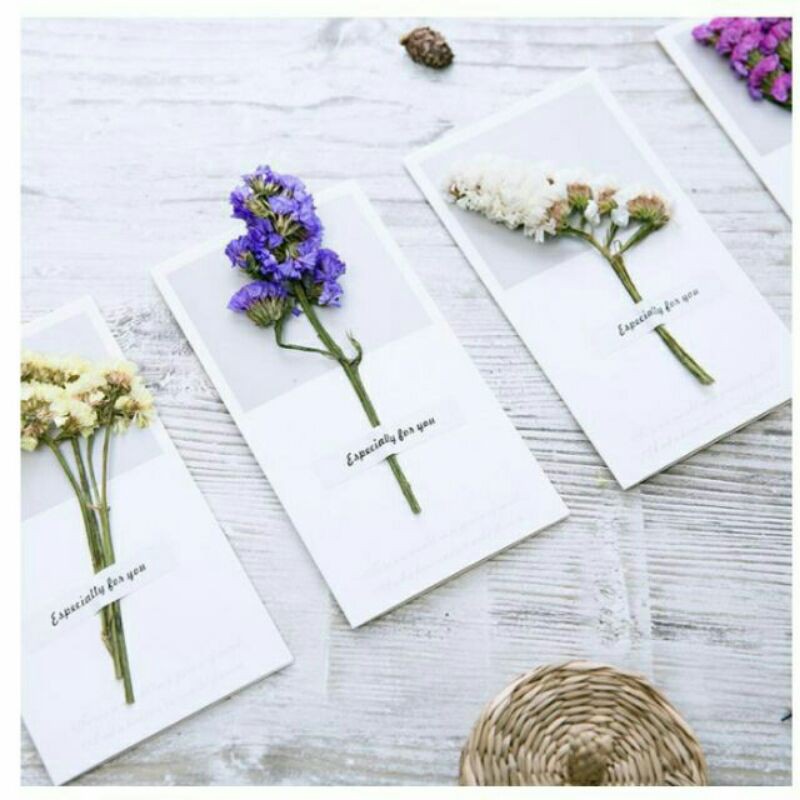 Thiệp hoa khô handmade xinh xắn làm quà tặng