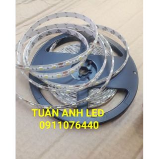 Đèn led cuộn 5050 dài 5m, điện áp 12v