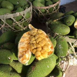 1 cây mít tố nữ 0775599196