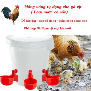 Máng uống tự động cho gà vịt dễ lắp và tiện dụng