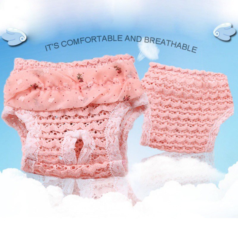 Quần vệ sinh cho thú cưng