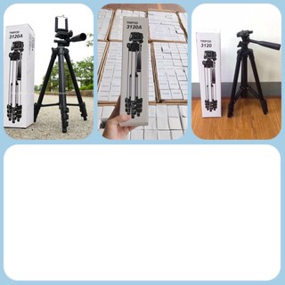 Gậy tripod 3120