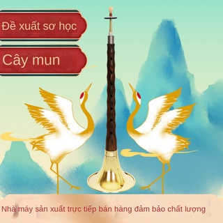 ✆✁Nhạc cụ chuyên nghiệp Suona trọn bộ cho người lớn trẻ em mới bắt đầu nhập môn kèn D major, medium và small trumpet chơ