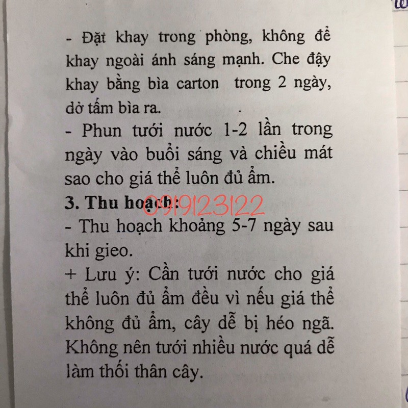 Hạt giống Mầm Củ Cải Đỏ 100g