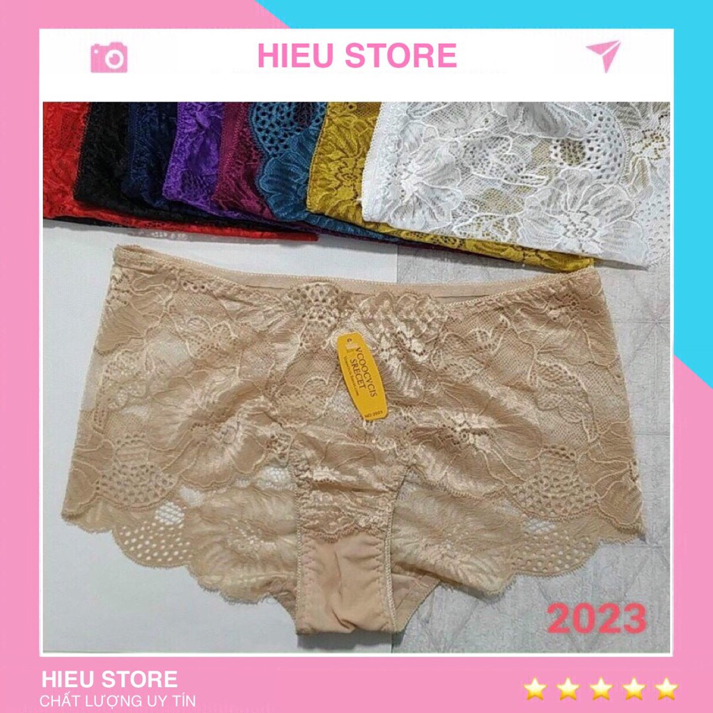 💓FREESHIP💓 Quần Lót Ren Gợi Cảm Sexy Siêu Mỏng Xuyên Thấu BigSize QL2023 HIEU STORE