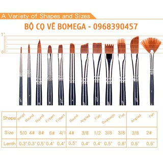 Bộ cọ vẽ Bomega 12 cây