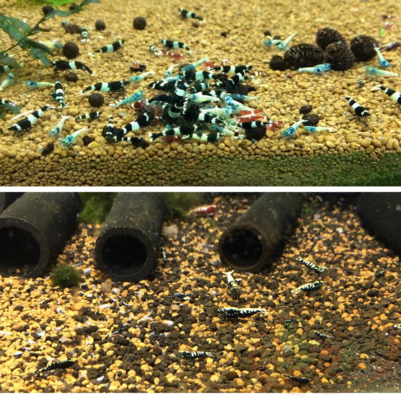 Nền Cá Tép Mosura Red Soil - Túi 1 lít