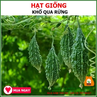 Hạt Giống Khổ Qua Rừng F1 1 Gram