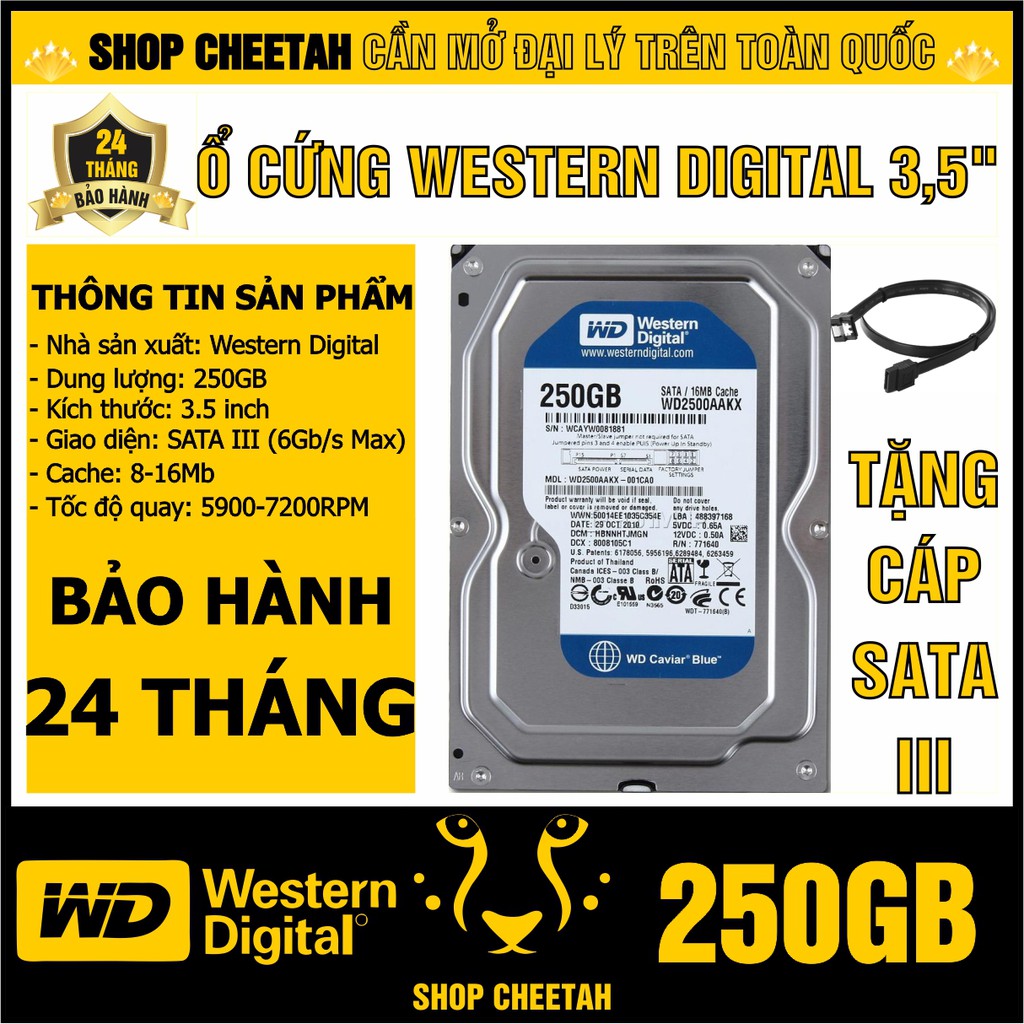 Ổ cứng 250GB Western Digital HDD 3.5” - Chính Hãng – Bảo hành 24 tháng – Tháo máy đồng bộ mới 99% - HDD WD xanh