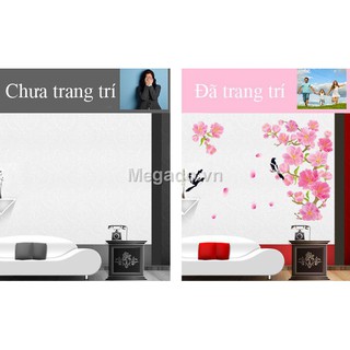 Decal hoa đào sắc xuân A439