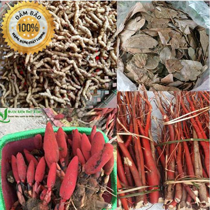 COMBO 4 MÓN nấm ngọc cẩu 250G, ba kích tím 250G, dâm dương hoắc 200G, sâm cau đỏ 300G