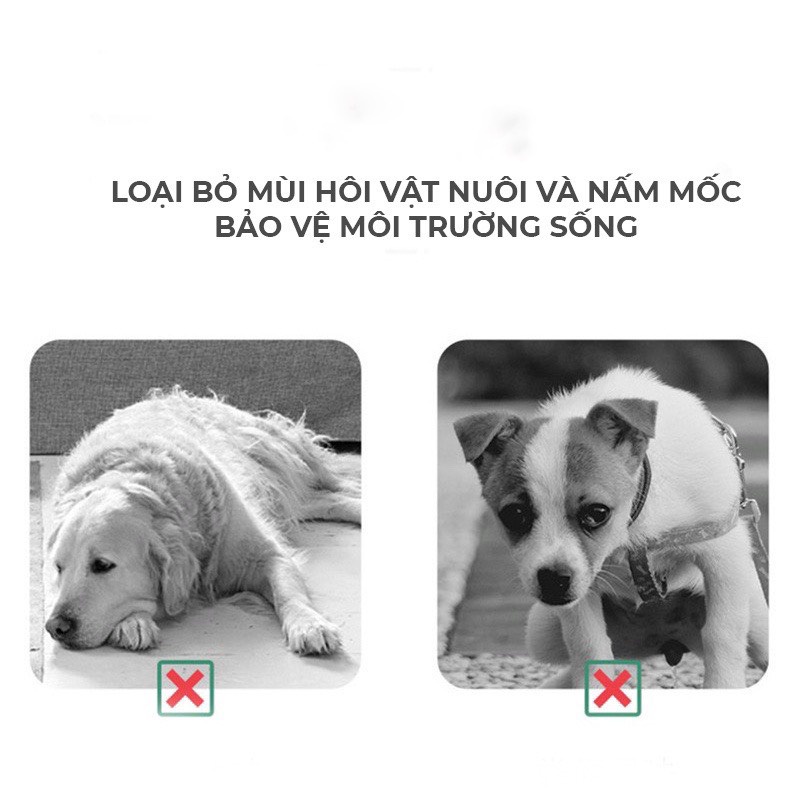 Xịt khử mùi hôi và diệt khuẩn cho thú cưng Dorrikey dung tích 500ml chiết xuất từ chanh