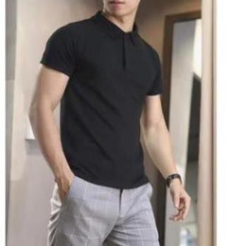 Áo thun cộc tay nam , Cổ Bẻ, chất liệu cotton, kiểu dáng slimfit,mát mẻ | BigBuy360 - bigbuy360.vn
