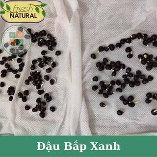 Hạt giống đậu bắp xanh