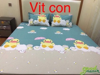 Ga chống thấm cotton