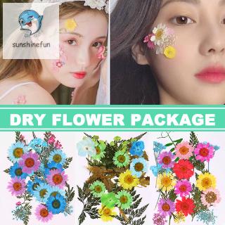 Hoa ép khô dùng để trang trí diy