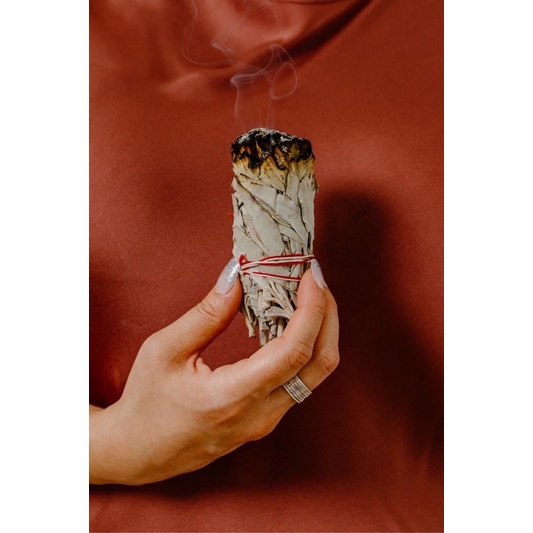 Lá Xô thơm Peru - Lá Sage