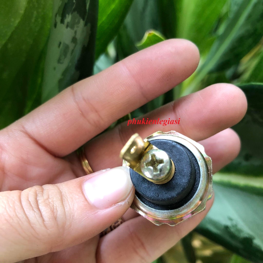 Cảm Biến Áp Suất Nhớt Mitsubishi Grandis hàng OEM 1258A002 MD138993