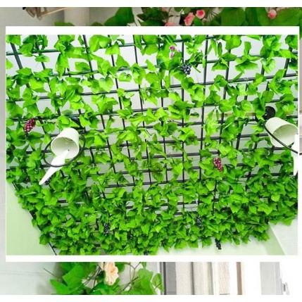 Dây lá nho xanh trang trí nhà cửa,quán cafe, sân vườn, nhà hàng