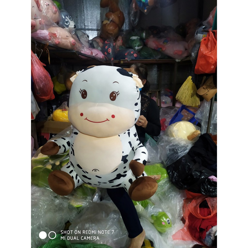 Gấu bông bò sữa cute siêu to khổng lồ