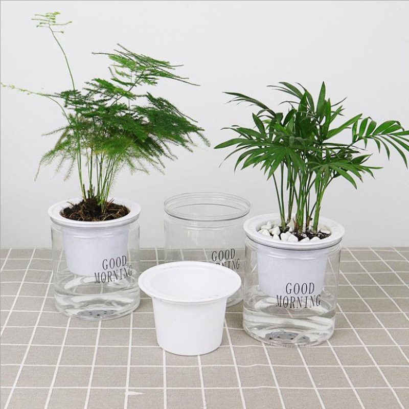 Chậu trồng cây thủy sinh bằng PET hình tròn thiết kế tự tưới nước sáng tạo tiện dụng