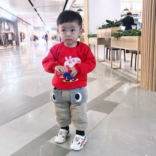 Combo 3 áo nỉ lót lông