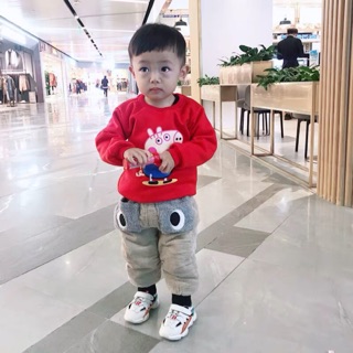Combo 3 áo nỉ lót lông