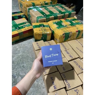 BỘT RỬA MẶT BLACK DAISY