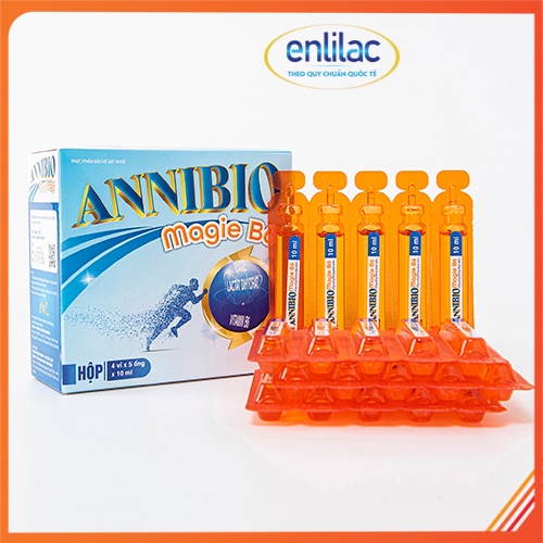 ANNIBIO B6 - Hỗ trợ cải thiện suy nhược thần kinh, hạn chế đau dây thần kinh ngoại biên hộp 20 ống 10ml