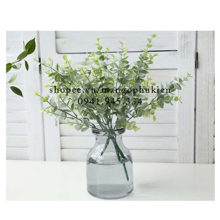 Chùm lá táo nhỏ phủ phấn trắng phụ kiện chụp ảnh decor | BigBuy360 - bigbuy360.vn