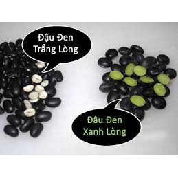 1kg đậu đen xanh lòng quê đẹp da giảm cân hạt nhỏ