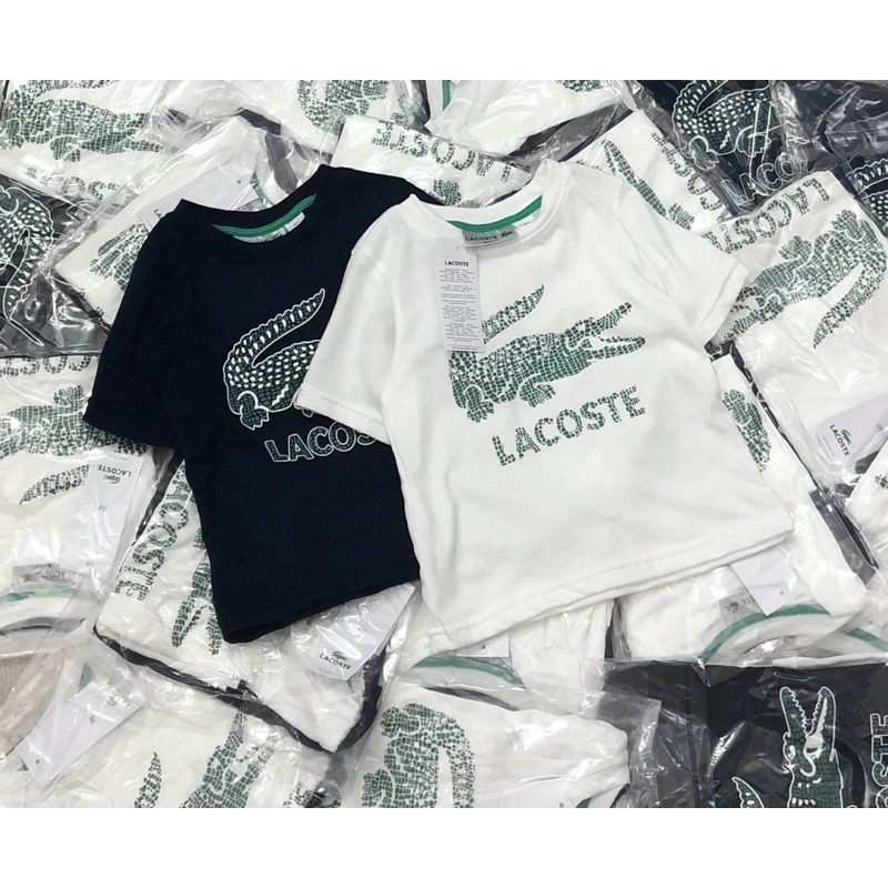 Áo cotton cộc tay bé trai cá sấu Lascote dư 12-35kg