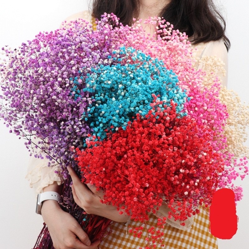 Lọ Hoa Gypsophila Giả Màu Trắng Đơn Giản Trang Trí Nhà Cửa