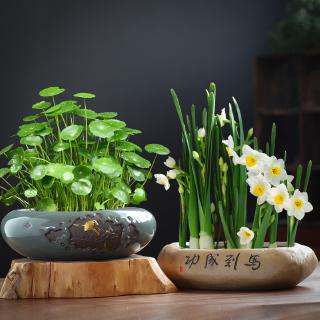 Chậu Hoa Bằng Đồng Kiểu Dáng Độc Đáo Sáng Tạo