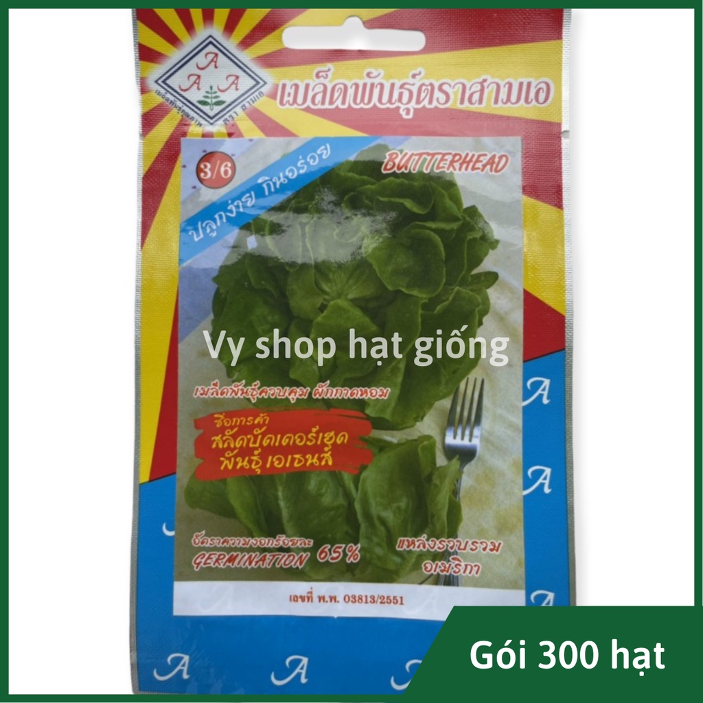 Hạt giống rau xà lách cuộn butterhead Thái Lan gói 300 hạt